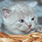 takueso's profile image