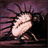 dodyy8482p's profile image
