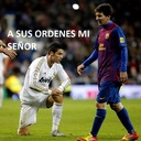 alex palacios (@alexpal12956670) Twitter
