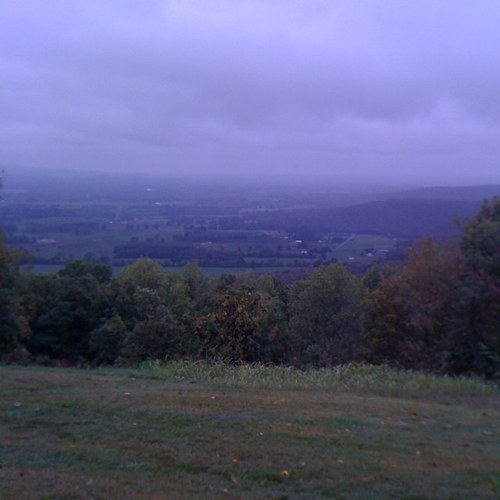 tnshamrock's profile picture. 