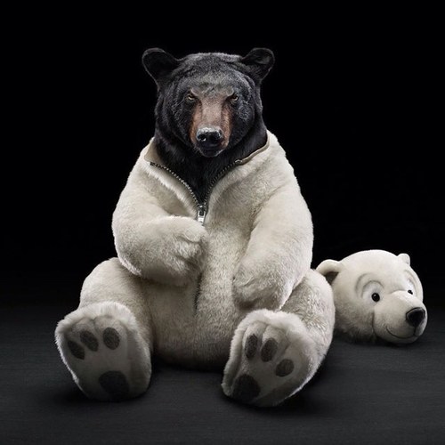 liamdgreene90's profile picture. 