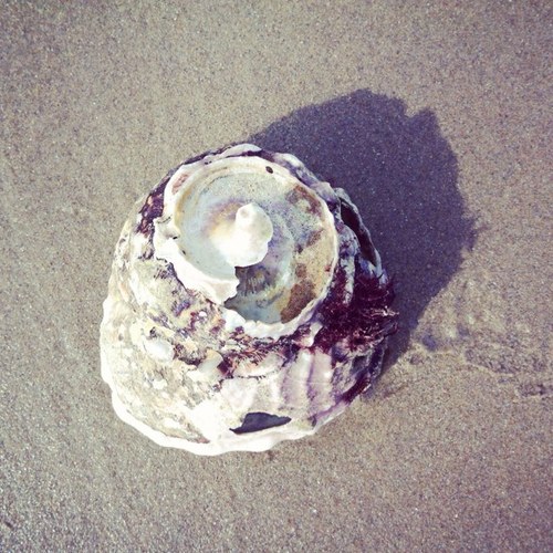 elm1215's profile picture. 