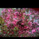 michelle bode - @bodemisha - Twitter