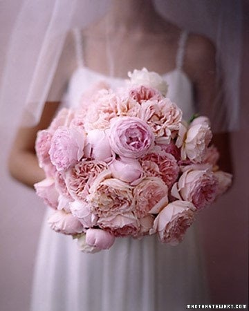 idodoyouwed's profile picture. Follow me on twitter and pinterest for wedding inspiration! 
https://t.co/1Vdod34aZg
Check out my blog too! The link is below.