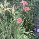 Nancy Snyder - @praywalk - Twitter