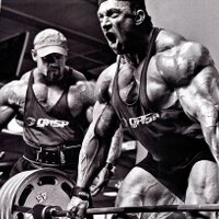 Musculação (@motumbo10) 's Twitter Profile