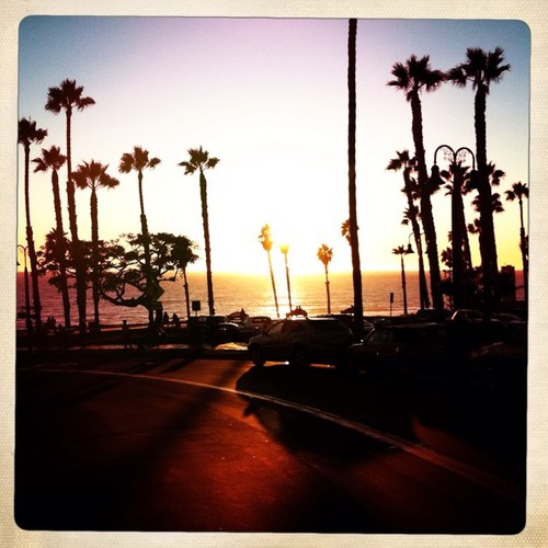 appsut66's profile picture. 