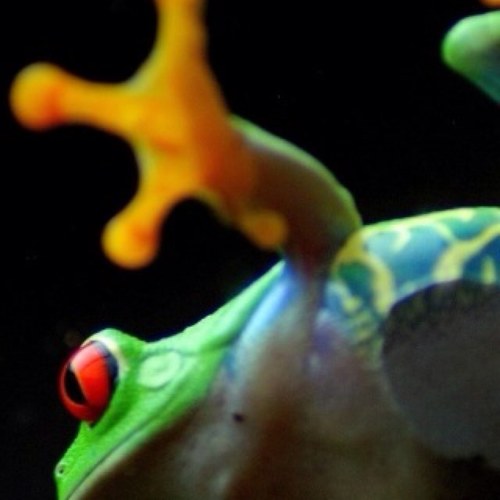 khudkinsloya's profile picture. 