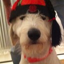 Pam Bruce - @pam_bruce - Twitter