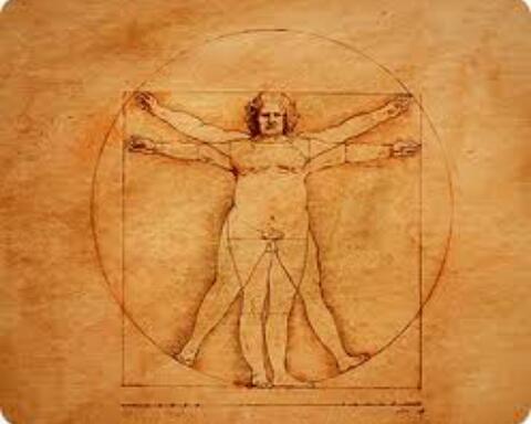 desengrasante's profile picture. 