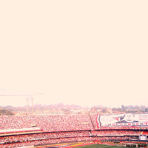 Somos mais São-Paulinos que ontem e menos que amanhã! Eu não te amo como ontem, amo mil vezes mais. SÃO PAULO FUTEBOL CLUBE s2'