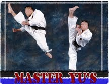 Master Yu's Power Kickboxing  provides service for family fitness. This includes kickboxing, mixed martial arts, and kids Tae Kwon Do.