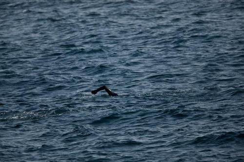 keoungmi's profile picture. 