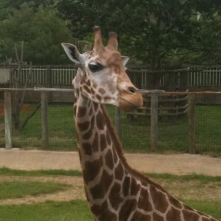 monkfish88's profile picture. 