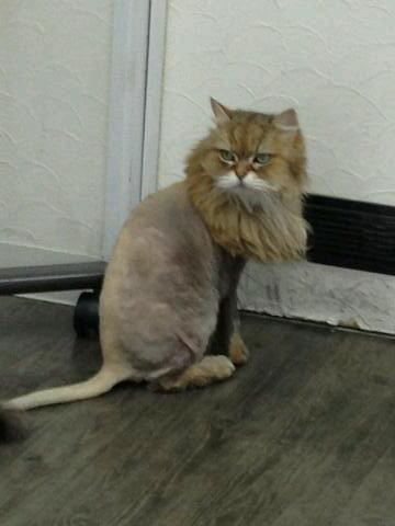 5524to_pooh's profile picture. 