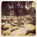 Kathy Buss - @Kjo178 - Twitter