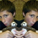 alex burke (@Alexpburke23) Twitter