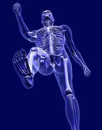 AnumiMed provides a complete variety of orthopaedic products for physicians, clinics, therapists, hospitals, and direct to public.