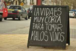 ppato2's profile picture. 