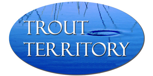Guided trout fishing tours on Tasmania's northern rivers and central highland lakes. Tasmania, Australia