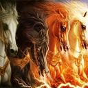 dylan lee bourne - @BourneDylan - Twitter