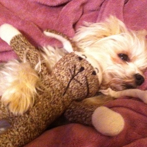 ElizabethHartm4's profile picture. 