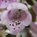 stacy - @stacy_ash - Twitter