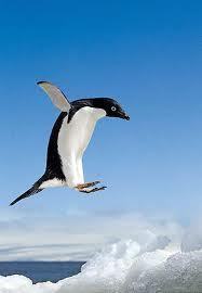 tokozencom's profile picture. Antique - Unique - Awesome