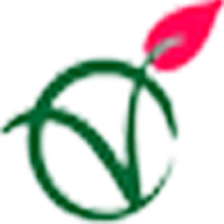 Vietnam tourism destinations and foods