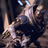 Garrus Vakarian (@garrusguy) Twitter profile photo