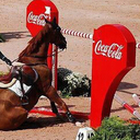 wanda sauer - @joan_arc9 - Twitter