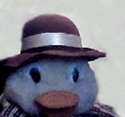 Meu dono :::::: @celsomatheus