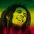 zal_zol's profile image