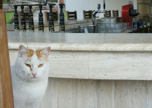 cmcd001's profile picture. I used to be a volunteer comedian until i realised it wasn't worth it.