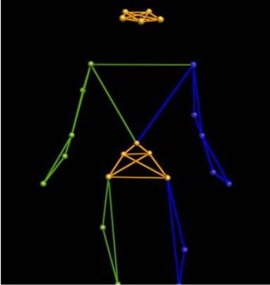 Professor Neuromuscular Biomechanics | Skeletal Muscle Anatomy and Physiology | Science Communication | Views my own