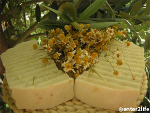 Handmade Soaps with Greek Olive oil and Herbs!
We love and respect nature and the gifts who generously offers us! We use pure and natural products!