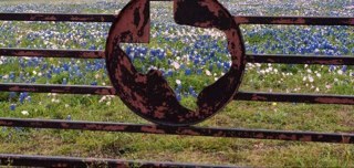 rettlange's profile picture. 