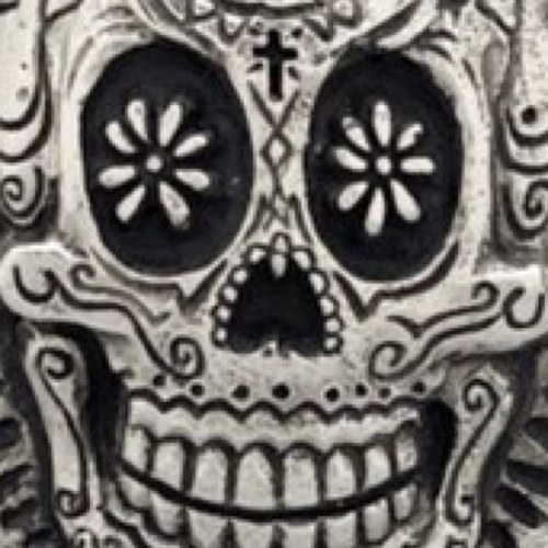 Sklt0nZ's profile picture. 