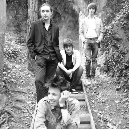 The_Polarize's profile picture. Groupe de 4 jeunes Clermontois (guitariste, bassiste, batteur et cleviériste) à l'inspiration Post Rock / Rock Progressif.