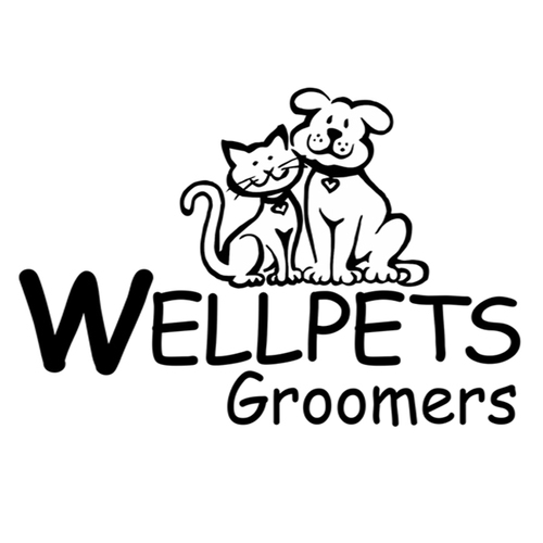 We provide a grooming service which is managed with 18 years' Crufts-standard grooming experience, to help your best friend look and feel their best.