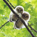 Morgan Wiggins - @Morgan_Wiggins - Twitter