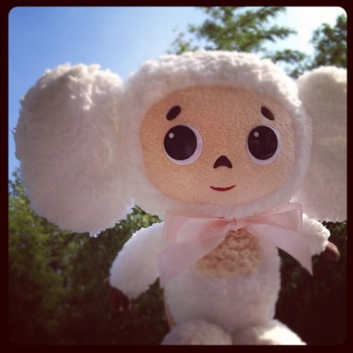 177g's profile picture. いつもお家がピカピカ！をめざすよー。健康第一。笑う門には福来たる♪