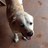 jero_vega's profile image