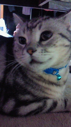 hirabanoshokun's profile picture. これから新社会人。頑張りましょう！アーティストはBUMP好きです。