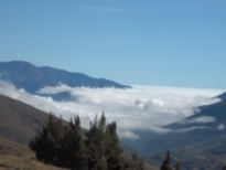 ErikaBango's profile picture. 