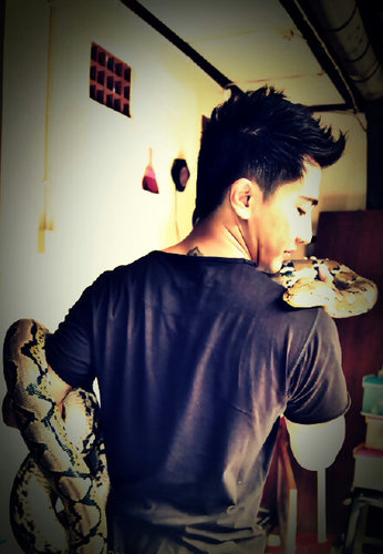 Reticulatus and molurus lovers
