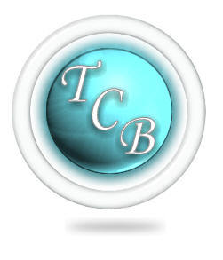 want2help's profile picture. Offering Risk and Operations Consulting for the payment industry