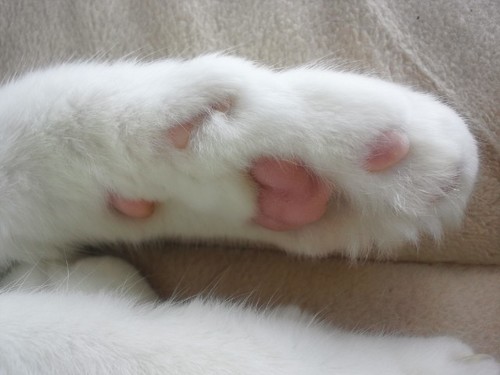 krnwww's profile picture. ゲーム好きディズニー好き美味しいもの好きお酒好き車好き。日課のジムはお風呂屋さんと化している。最近はYouTubeに夢中。