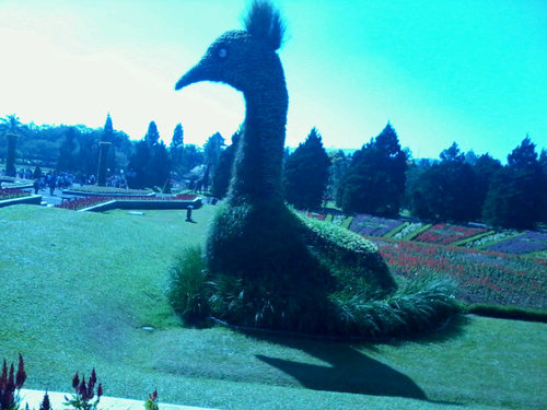 Pvds_ok's profile picture. 