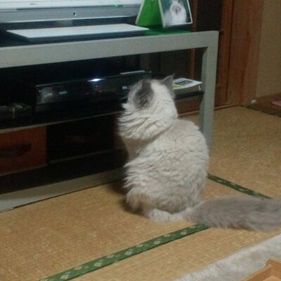 神永和浩